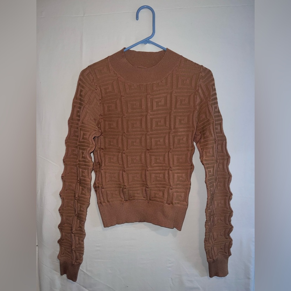 Tan SHEIN Form Fitting Long Sleeve